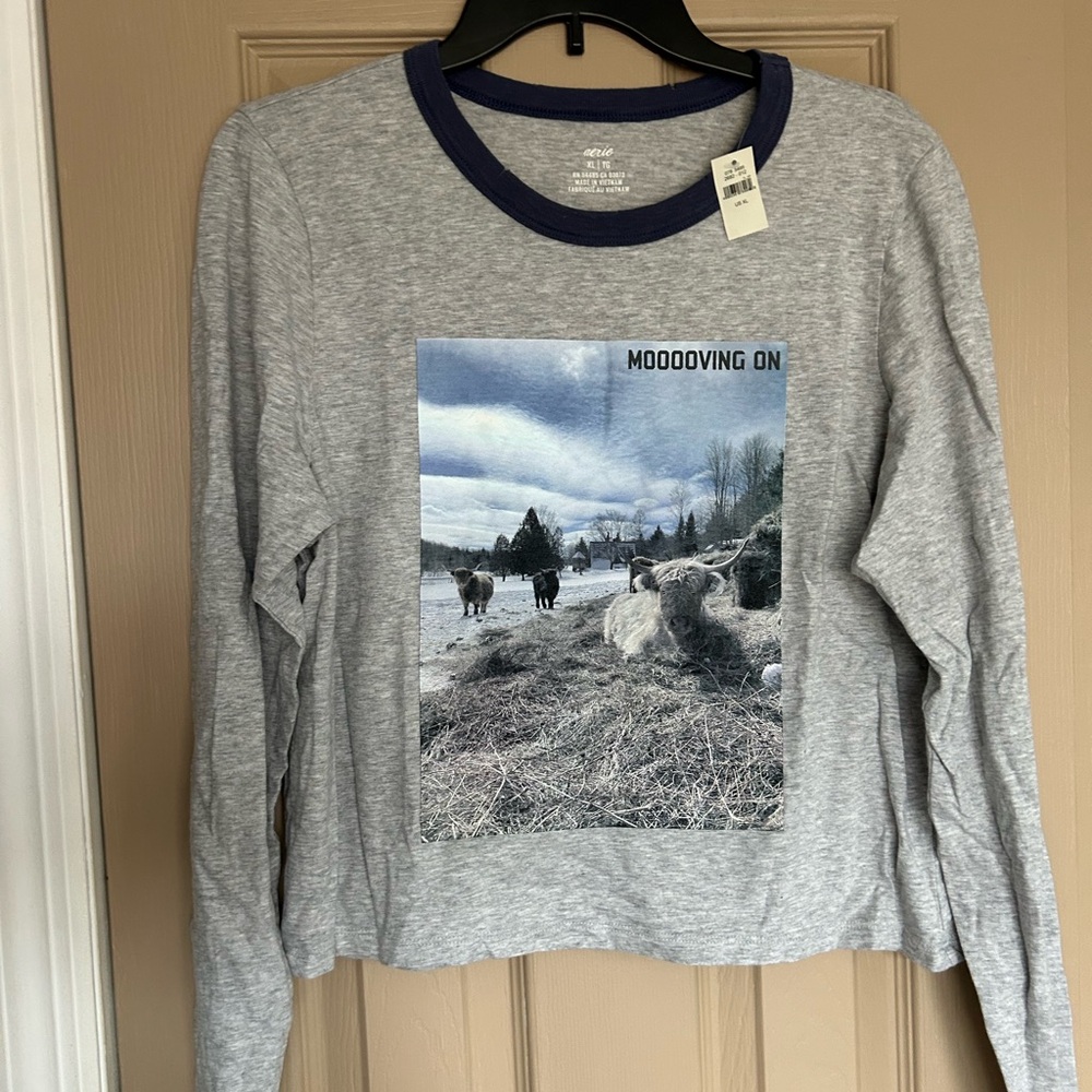 Aerie Navy and Gray Crew Neck Tee